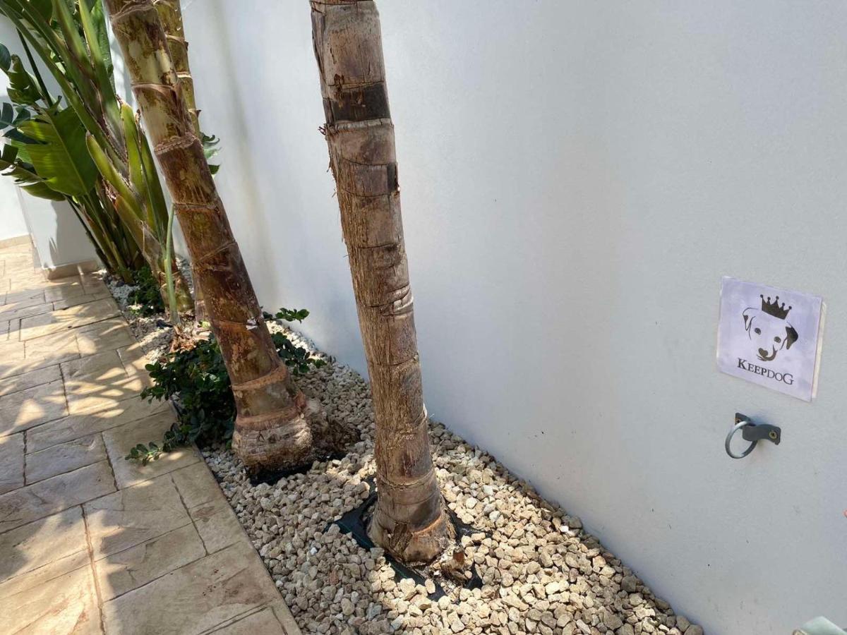 Villa Diana - 200 Meters From Kapparis, Fireman'S Beach พาราลิมนี ภายนอก รูปภาพ